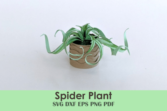 Mini Spider Plant Template: 3D SVG Paper Flowers